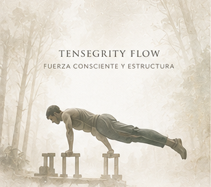 Tensegrity Flow